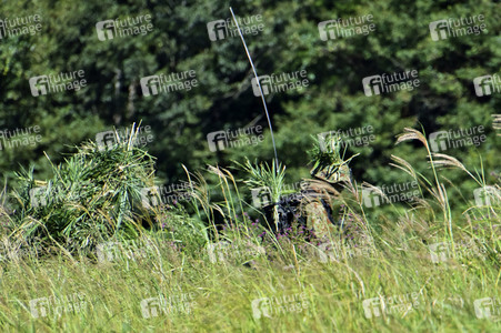 Militärübung 'Orient Shield 2019' in Yamato