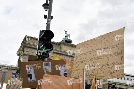 'Fridays for Future' Klimastreik in Berlin