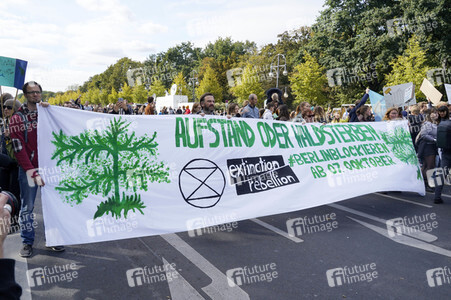 'Fridays for Future' Klimastreik in Berlin