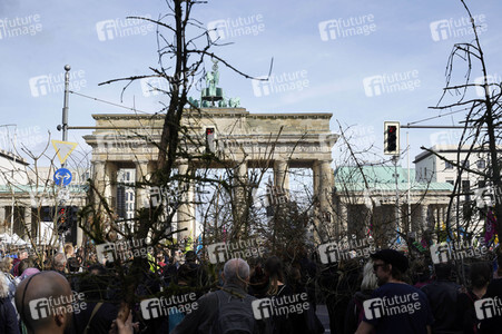'Fridays for Future' Klimastreik in Berlin