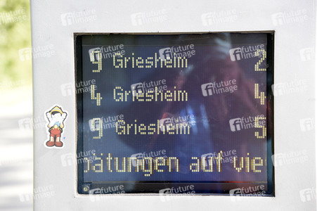 'Fridays for Future' Klimastreik in Darmstadt