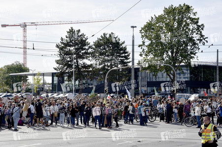 'Fridays for Future' Klimastreik in Darmstadt