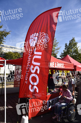 'Fridays for Future' Klimastreik in Darmstadt