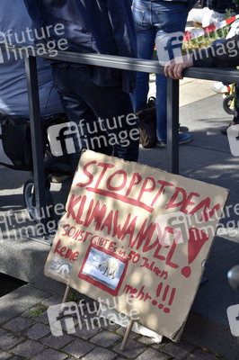 'Fridays for Future' Klimastreik in Darmstadt