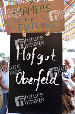 'Fridays for Future' Klimastreik in Darmstadt