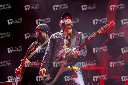 Konzert von Black Stone Cherry in Hamburg