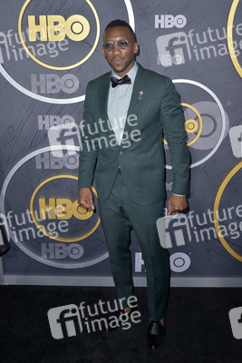 HBO Emmy Party in Los Angeles