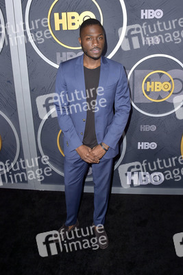 HBO Emmy Party in Los Angeles