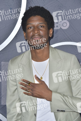 HBO Emmy Party in Los Angeles