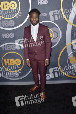 HBO Emmy Party in Los Angeles