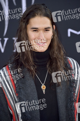 Filmpremiere 'Maleficent: Mächte der Finsternis' in Los Angeles