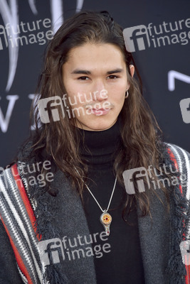 Filmpremiere 'Maleficent: Mächte der Finsternis' in Los Angeles