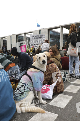 Extinction Rebellion Protestaktion in Berlin