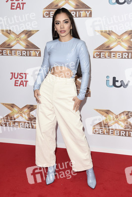 Photocall  'The X Factor: Celebrity' in London