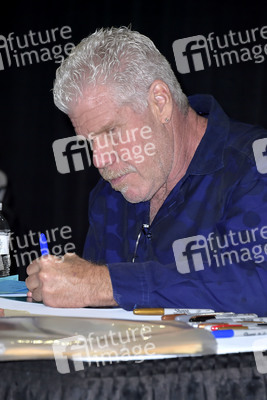 L.A. Comic Con 2019 in Los Angeles