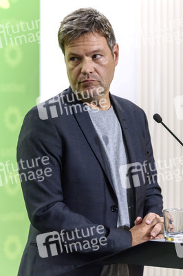 Pressekonferenzder Grünen in Berlin