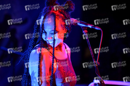 Konzert von The Skints in Hannover