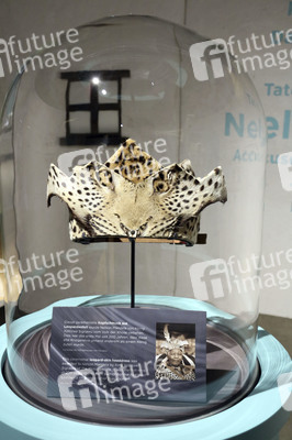 Photocall 'Mandela: The Official Exhibition' in Berlin