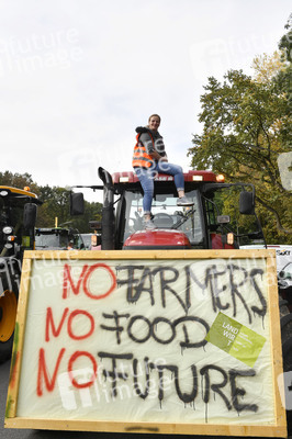 Protest gegen Agrarpolitik in Berlin
