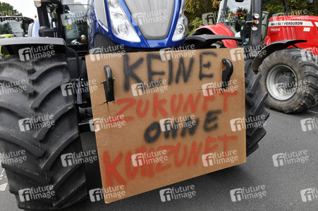 Protest gegen Agrarpolitik in Berlin