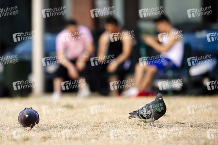 Symbolfoto Langeweile