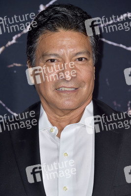 Filmpremiere 'Doctor Sleep' in Los Angeles