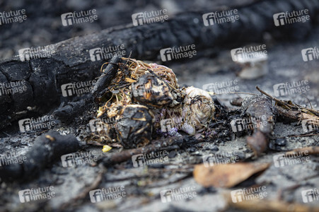 Kämpfe an der Chinesischen Universität Hongkong