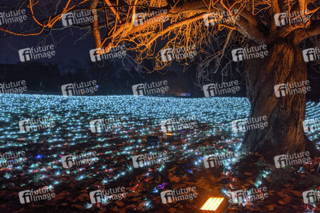 Eröffnung des Christmas Garden 2019 in Berlin