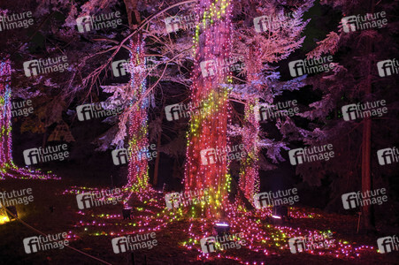 Eröffnung des Christmas Garden 2019 in Berlin