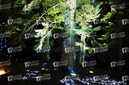 Eröffnung des Christmas Garden 2019 in Berlin