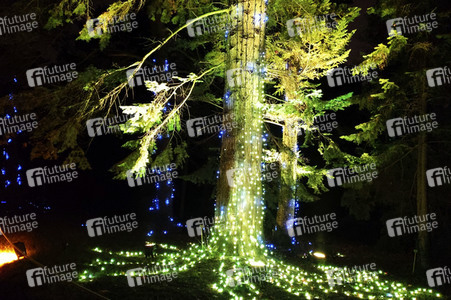 Eröffnung des Christmas Garden 2019 in Berlin