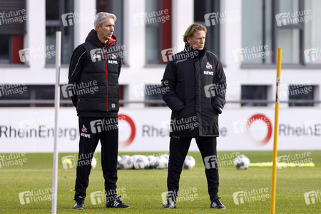 Training vom 1. FC Köln in Köln