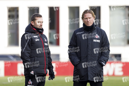 Training vom 1. FC Köln in Köln