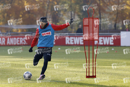 Training vom 1. FC Köln in Köln