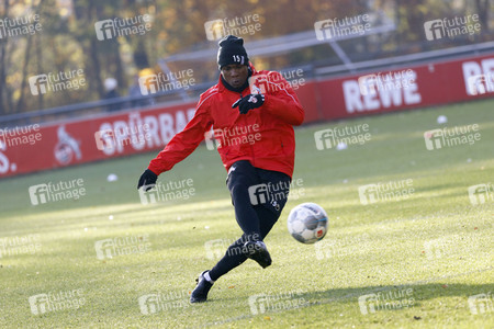 Training vom 1. FC Köln in Köln