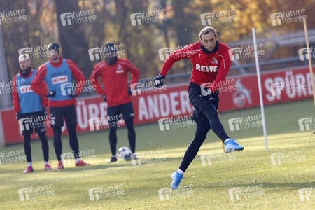 Training vom 1. FC Köln in Köln