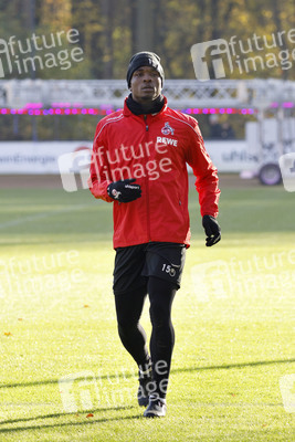 Training vom 1. FC Köln in Köln