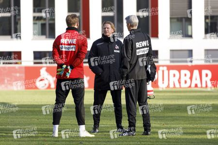 Training vom 1. FC Köln in Köln