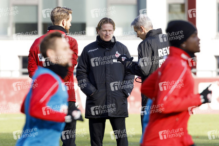 Training vom 1. FC Köln in Köln