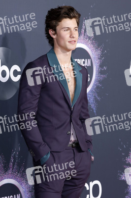 American Music Awards 2019 in Los Angeles