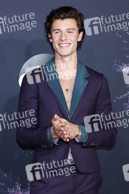 American Music Awards 2019 in Los Angeles