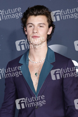 American Music Awards 2019 in Los Angeles