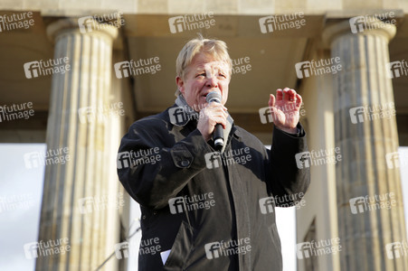 'Fridays for Future' Demonstration in Berlin