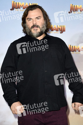 Photocall 'Jumanji - The Next Level' in Berlin