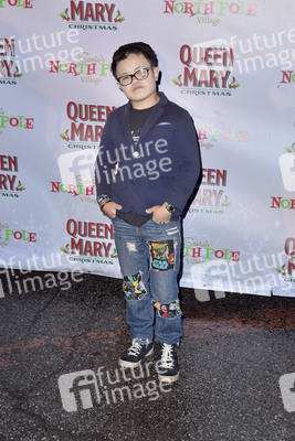 Queen Mary Christmas Media & VIP Night in Long Beach