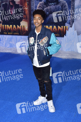 Filmpremiere 'Jumanji - The Next Level' in Los Angeles