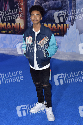 Filmpremiere 'Jumanji - The Next Level' in Los Angeles