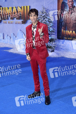 Filmpremiere 'Jumanji - The Next Level' in Los Angeles