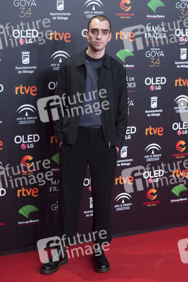 Nominiertenparty zur 34. Goya Filmpreis Verleihung in Madrid