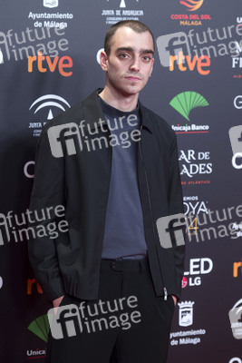 Nominiertenparty zur 34. Goya Filmpreis Verleihung in Madrid